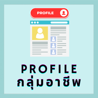 Proflie 3
