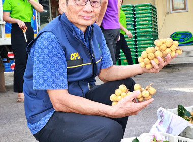 สหกรณ์จังหวัดพิษณุโลก ... พารามิเตอร์รูปภาพ 3