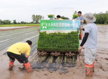 สหกรณ์จังหวัดพิษณุโลก ... พารามิเตอร์รูปภาพ 2