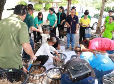 สหกรณ์จังหวัดพิษณุโลก ... พารามิเตอร์รูปภาพ 10