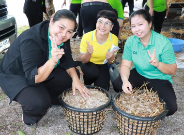 สหกรณ์จังหวัดพิษณุโลก ... พารามิเตอร์รูปภาพ 11