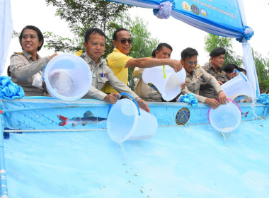 สหกรณ์จังหวัดพิษณุโลก ร่วมพิธีปล่อยพันธ์สัตว์น้ำ ... พารามิเตอร์รูปภาพ 5