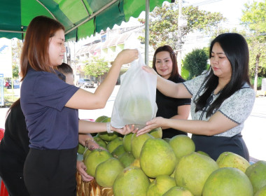 สหกรณ์จังหวัดพิษณุโลก พร้อมคณะ ... พารามิเตอร์รูปภาพ 4