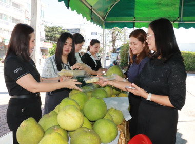 สหกรณ์จังหวัดพิษณุโลก พร้อมคณะ ... พารามิเตอร์รูปภาพ 3