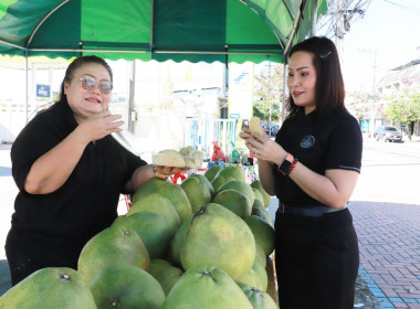 สหกรณ์จังหวัดพิษณุโลก พร้อมคณะ ... พารามิเตอร์รูปภาพ 5