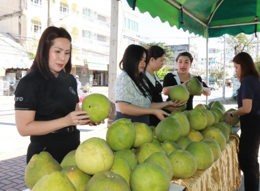 สหกรณ์จังหวัดพิษณุโลก พร้อมคณะ ... พารามิเตอร์รูปภาพ 6