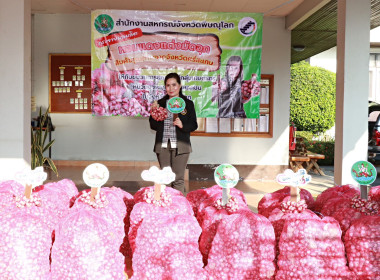 สหกรณ์จังหวัดพิษณุโลก ... พารามิเตอร์รูปภาพ 2