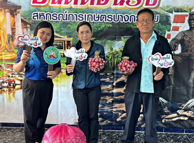 สหกรณ์จังหวัดพิษณุโลก ... พารามิเตอร์รูปภาพ 6