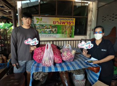 สหกรณ์จังหวัดพิษณุโลก ... พารามิเตอร์รูปภาพ 8