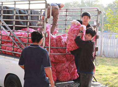 สหกรณ์จังหวัดพิษณุโลก ... พารามิเตอร์รูปภาพ 4