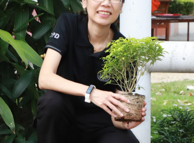 สหกรณ์จังหวัดพิษณุโลก ... พารามิเตอร์รูปภาพ 4