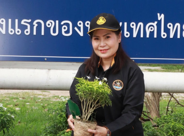 สหกรณ์จังหวัดพิษณุโลก ... พารามิเตอร์รูปภาพ 2