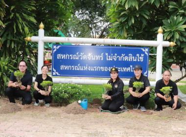 สหกรณ์จังหวัดพิษณุโลก ... พารามิเตอร์รูปภาพ 1