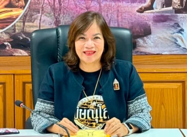 รองผู้ว่าราชการจังหวัดพิษณุโลก ... พารามิเตอร์รูปภาพ 1
