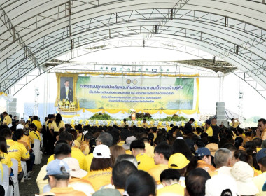 สหกรณ์จังหวัดพิษณุโลก ... พารามิเตอร์รูปภาพ 3