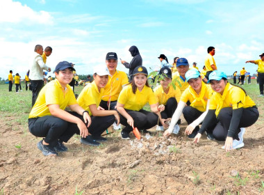 สหกรณ์จังหวัดพิษณุโลก ... พารามิเตอร์รูปภาพ 8