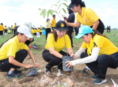 สหกรณ์จังหวัดพิษณุโลก ... พารามิเตอร์รูปภาพ 9