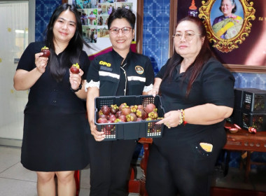 สหกรณ์จังหวัดพิษณุโลก พร้อมคณะ ... พารามิเตอร์รูปภาพ 2
