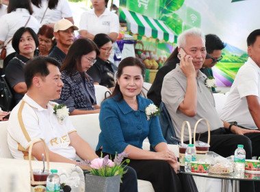 สหกรณ์จังหวัดพิษณุโลก ... พารามิเตอร์รูปภาพ 8